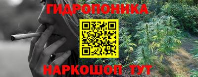 дживик Будённовск